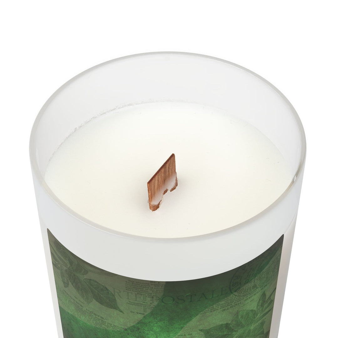 Verdant Vine – Frosted Glass Candle 11oz (Oakmoss and Amber)