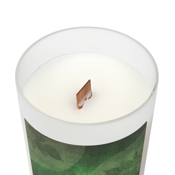 Verdant Vine – Frosted Glass Candle 11oz (Oakmoss and Amber)