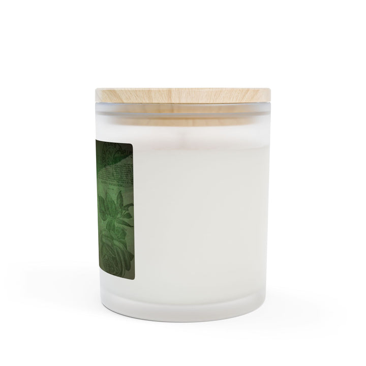 Verdant Vine – Frosted Glass Candle 11oz (Oakmoss and Amber)