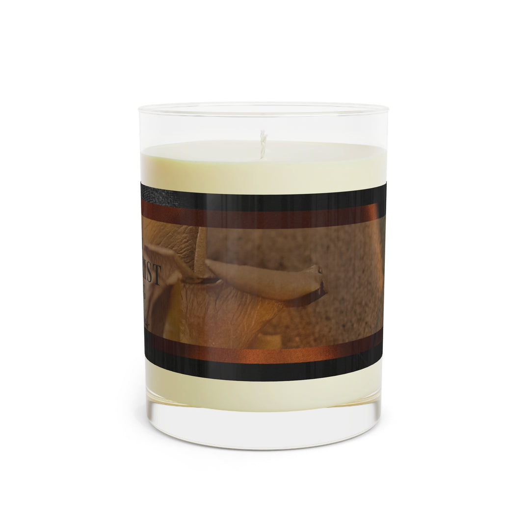 Golden Hour, White Tea & Fig Scented Candle (Full Glass, 11oz)